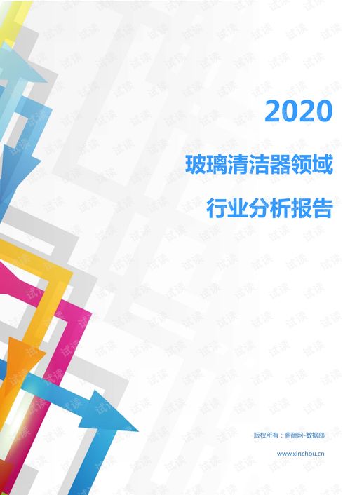 2020年家電家居清潔用品行業(yè)玻璃清潔器領域行業(yè)分析報告 市場調查報告 .pdf